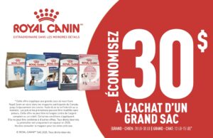 Royal Canin gros sacs chats et chiens en promotion