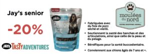 Promotion sur gâteries pour chiens senior