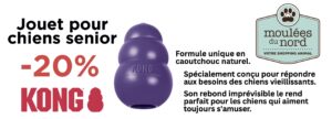 Jouets Kong pour chiens senior en promotion