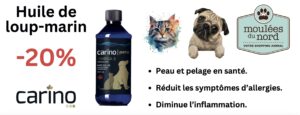 Carino huile de loup-marin en promotion