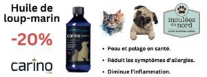 Carino huile de loup-marin en promotion
