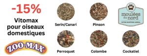 Promotion sur nourriture Vitomax pour oiseaux