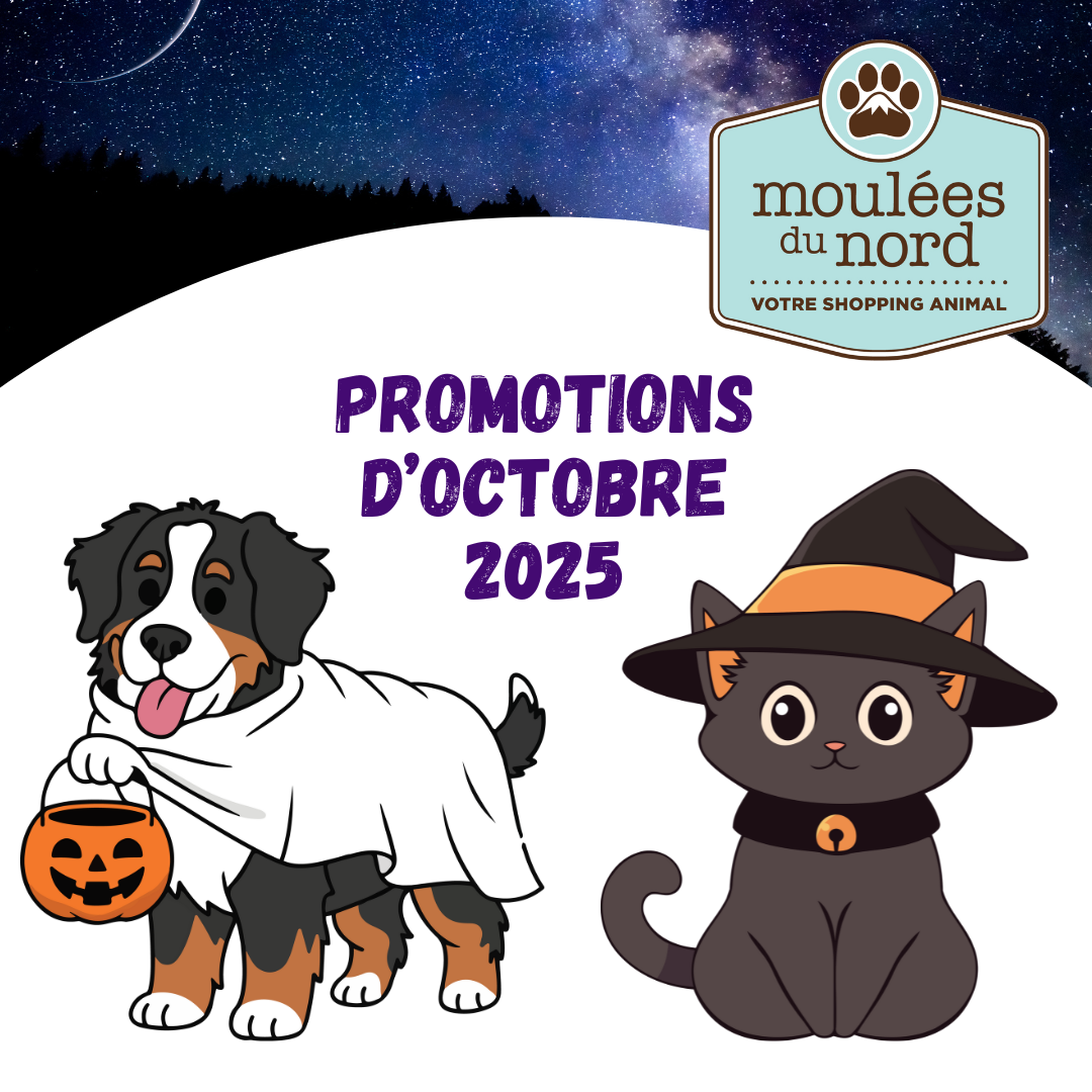 Promotions d'octobre 2025