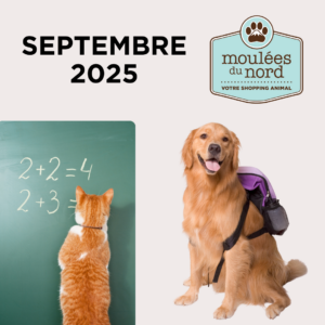 Promotions de septembre 2025