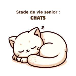 Stade de vie senior : chats
