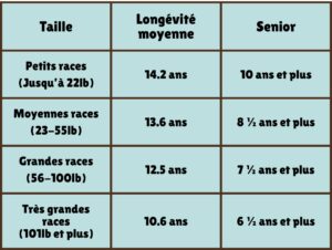 Tableau chiens : races vs age senior