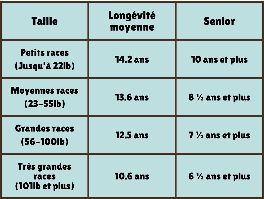 Tableau chiens : races vs age senior 