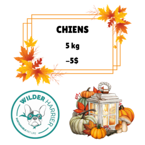 Promotion d'Oktoberfest Wilder Harrier