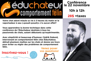 Éduchateur conférence sur le comportement félin