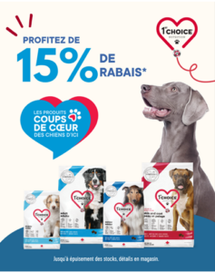 Promotions d'octobre 1st Choice moyen et grande race chiens