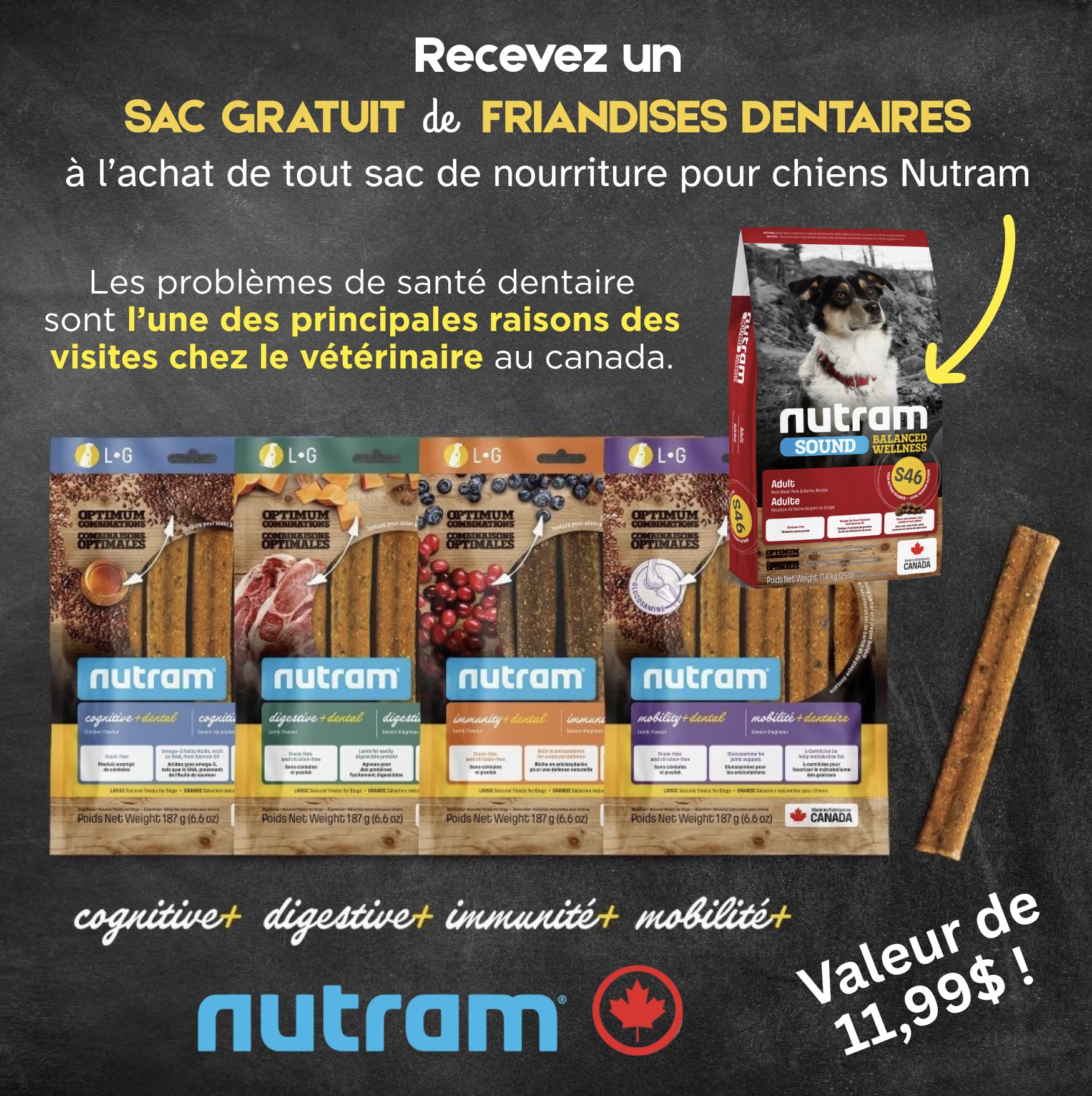 Nutram sac de gâteries dentaires gratuit