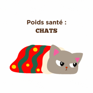 Conseils pour la poids santé pour chats