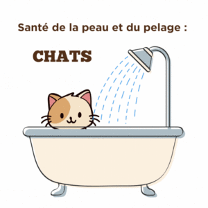 Conseils pour la santé de la peau et du pelage pour chats