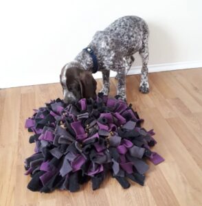 Atelier : Création de tapis de fouille