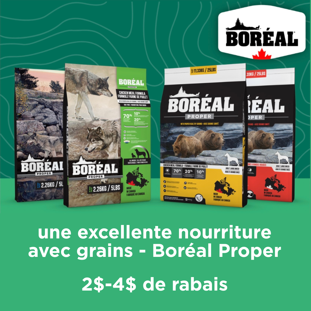 Rabais d'octobre sur Boréal proper pour chiens
