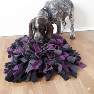Tapis de fouille pour chiens atelier avec Karine et Ace