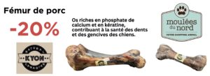 Fémur de porc Kyon pour chiens en rabais pour novembre