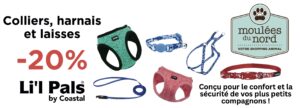 Harnais colliers laisses Li'l Pals en promotions pour novembre