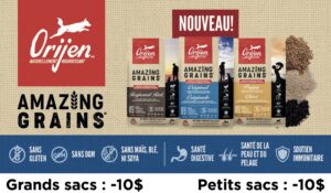 Nouveaux et en rabais : Orijen Amazing Grains pour chiens