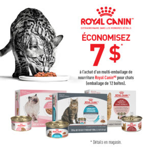 Royal Canin nourriture humide en promotion novembre vendredi fou