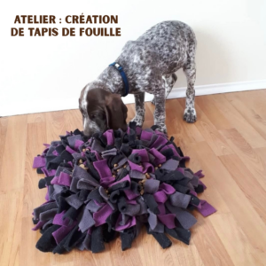 Atelier de décembre : Création de tapis de fouille pour chiens