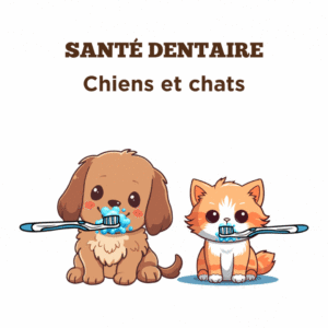 Conseils sur la santé dentaire des chiens et chats