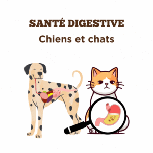 Conseils sur la santé digestive des chiens et chats