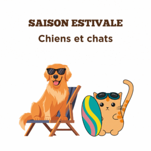 Conseils pour la santé des chiens et chats dans la saison estivale