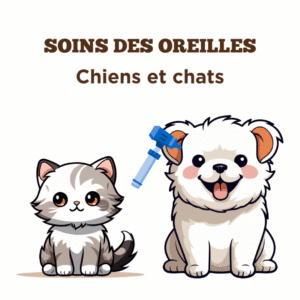 Conseils sur la soins des oreilles pour chiens et chats