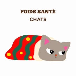 Conseils sur la poids santé pour chats