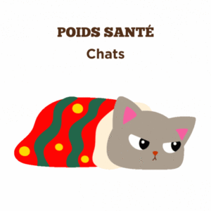 Conseils pour la poids santé des chats