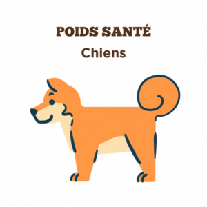 Conseils sur la poids santé pour chiens