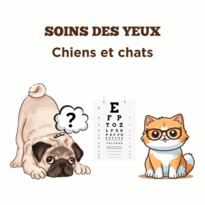 Conseils sur la soins des yeux pour chiens et chats