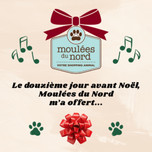 Événement de Noël bonus : 12 rabais de Noël