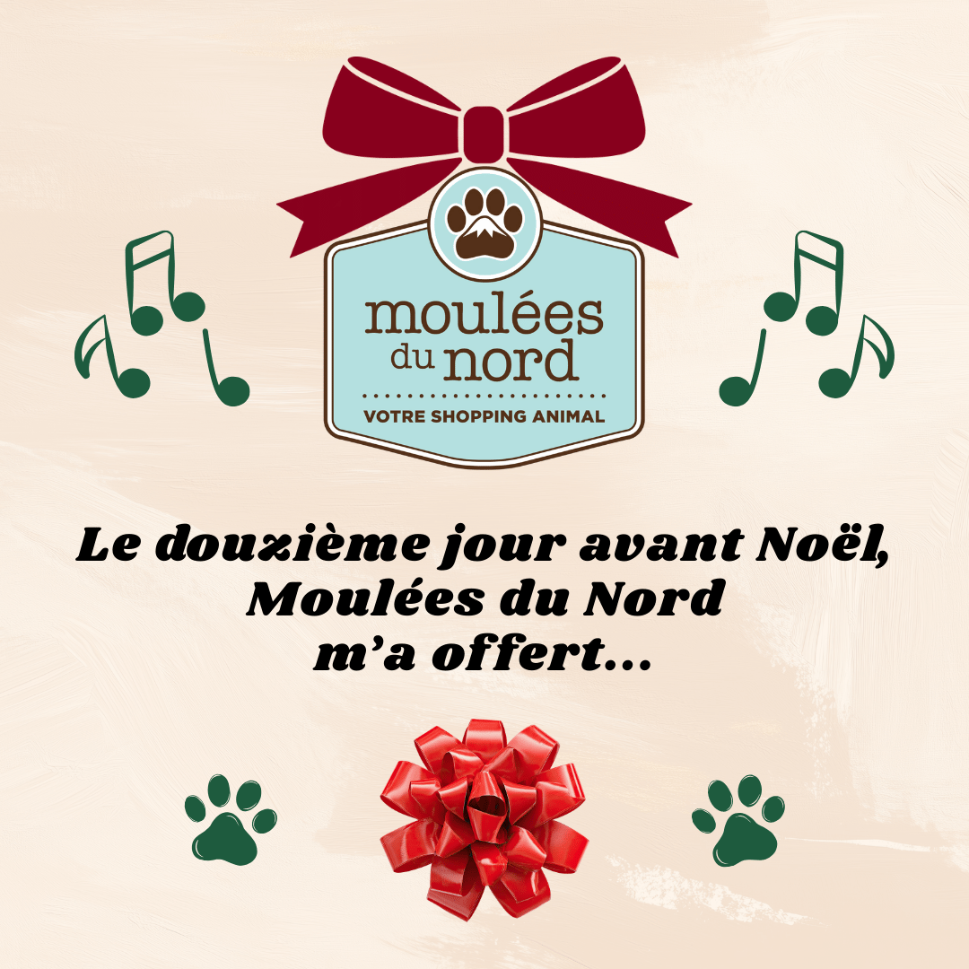Événement de Noël bonus : 12 rabais de Noël