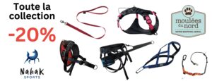 Promotion sur la collection Nahak : colliers, laisses, harnais et plus pour chiens et humains