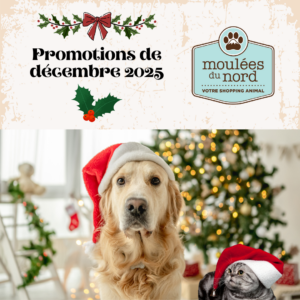 Promotions de décembre 2025 chiens chats petits animaux oiseaux ferme