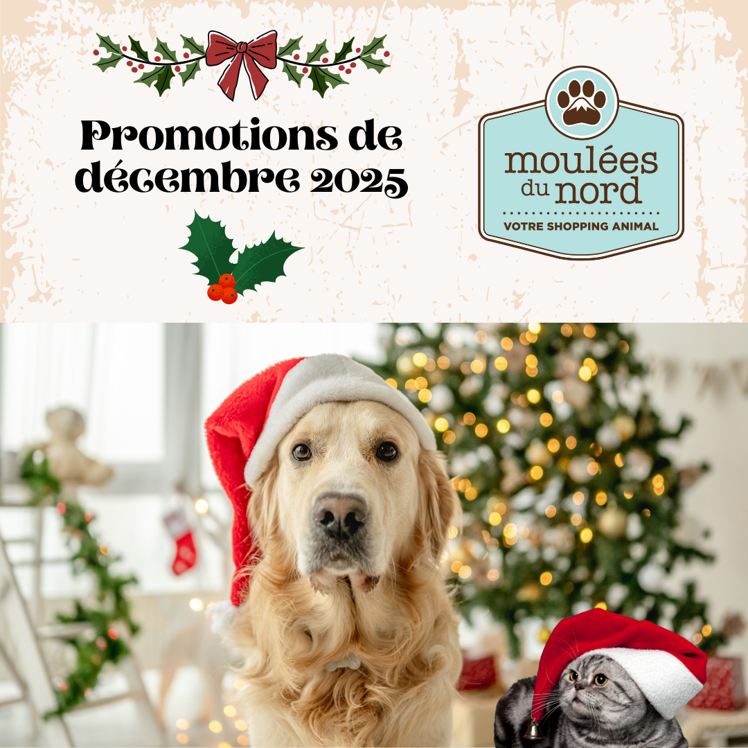 Promotions de décembre 2025 chiens chats petits animaux oiseaux ferme