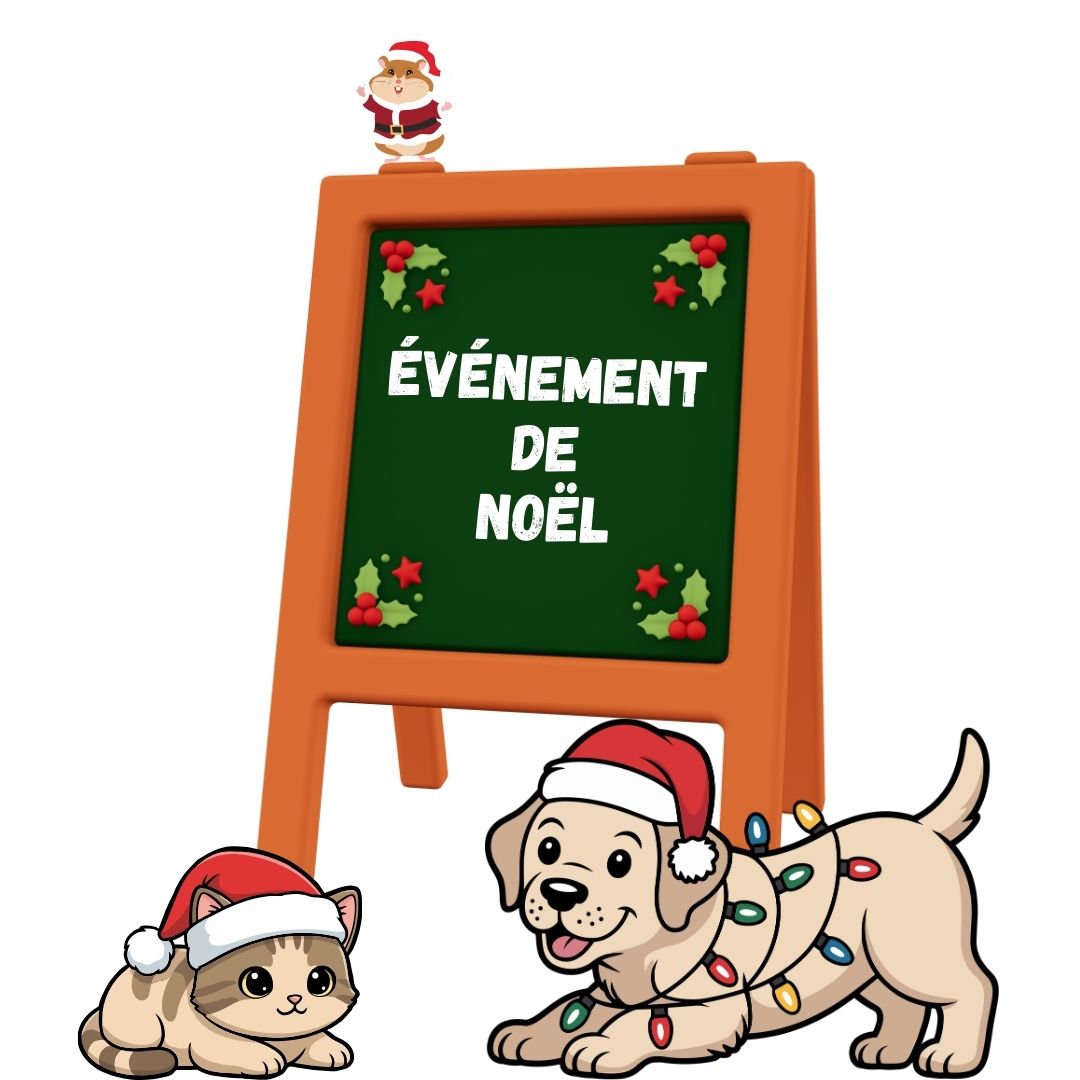Événement de Noël 2025 Moulées du Nord