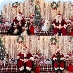 Événement de Noël : photos avec le Père Noël