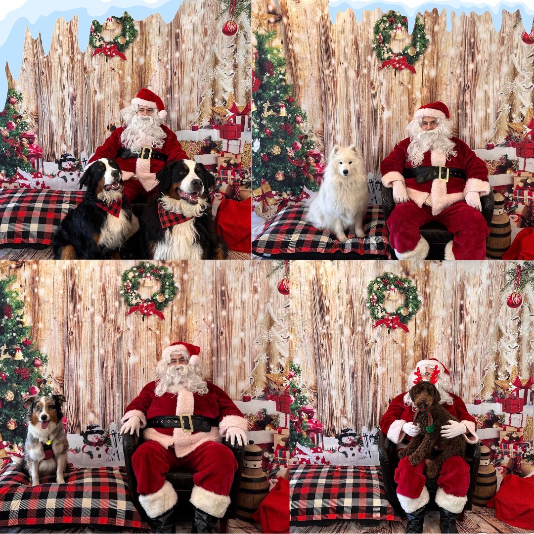 Événement de Noël : photos avec le Père Noël