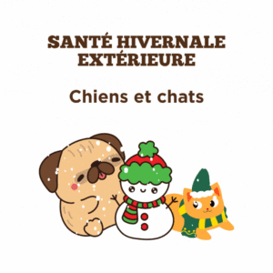 Conseils sur la santé hivernale extérieure pour chiens et chats