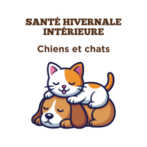 Conseils pour la santé hivernale intérieure pour chiens et chats