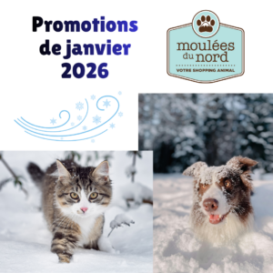 Promotions de janvier 2026