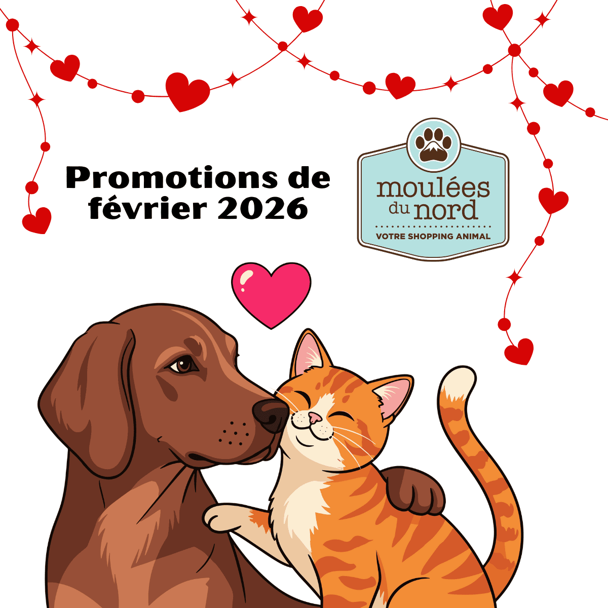 Promotions de février 2026