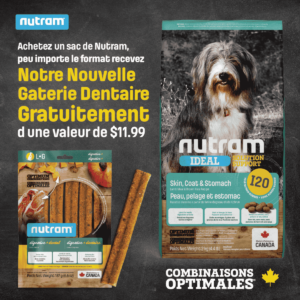 Promotion sur les gâteries dentaire pour chiens de Nutram