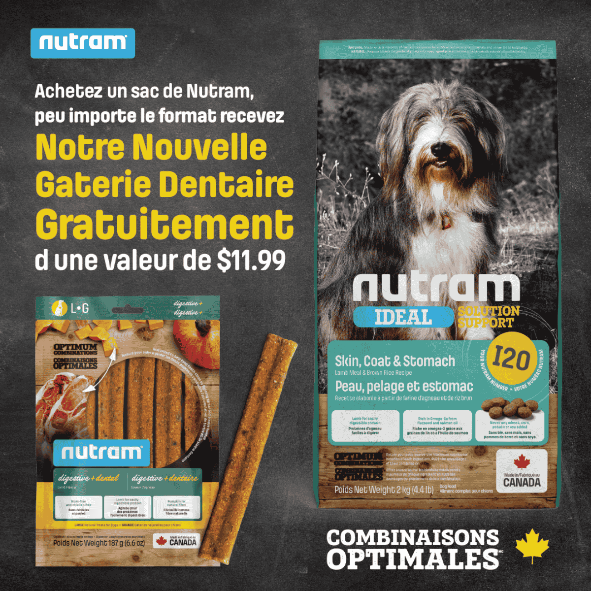 Promotion sur les gâteries dentaire pour chiens de Nutram