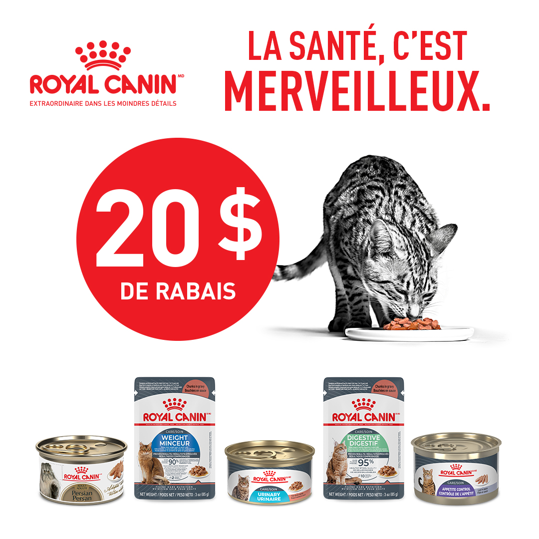 Nourriture humide pour chats en promotion février