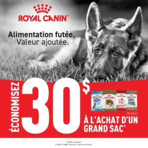 Nourriture pour chiens Royal Canin en rabais