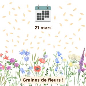 Graines de fleurs donner en magasin